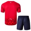 Maillot de Supporter Lille OSC Domicile 2025-26 Pour Enfant